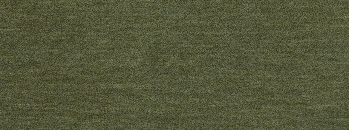 OU LALA 25 OLIVE